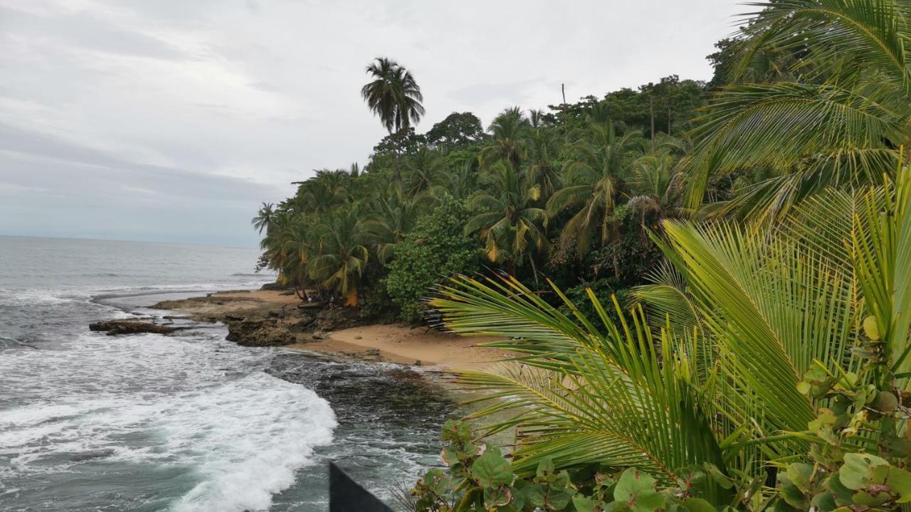 Cabinas Mitchaelle'S Puerto Viejo de Talamanca Exteriér fotografie