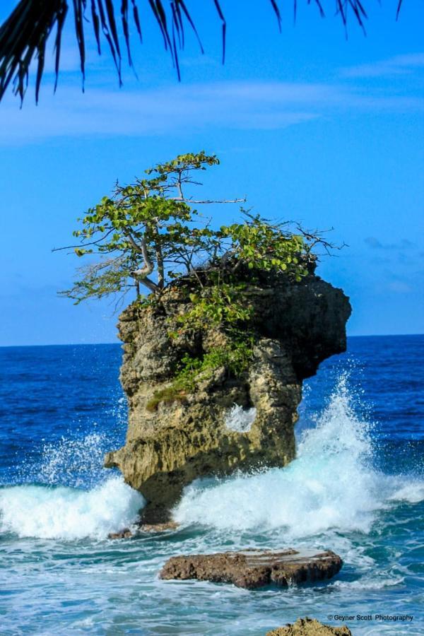 Cabinas Mitchaelle'S Puerto Viejo de Talamanca Exteriér fotografie
