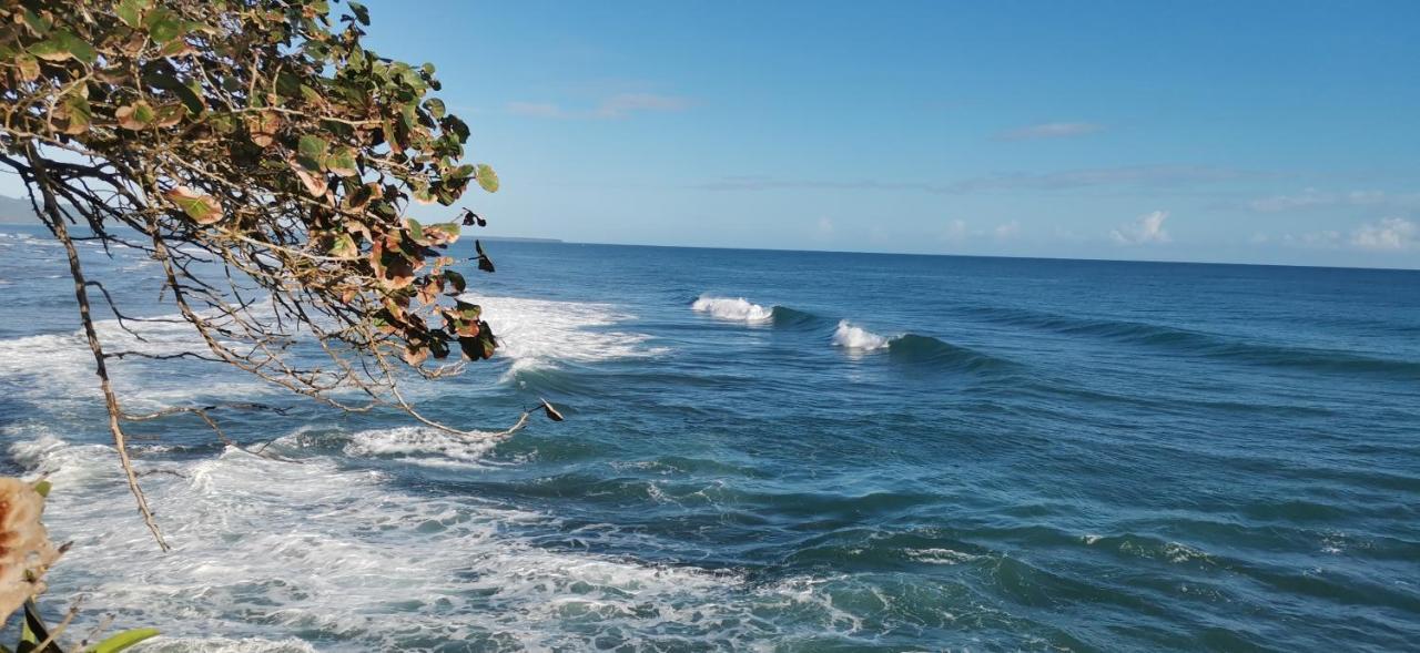 Cabinas Mitchaelle'S Puerto Viejo de Talamanca Exteriér fotografie